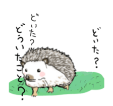 tosa zoo (move) sticker #14903517