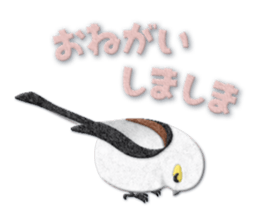 Bird appliques sticker #14903945