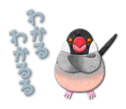 Bird appliques sticker #14903965