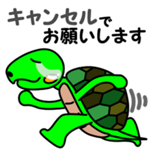 JIN-JIN Turtle Life 3 sticker #14903977