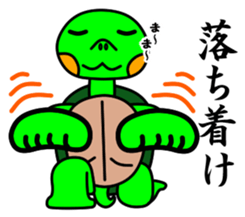 JIN-JIN Turtle Life 3 sticker #14903984