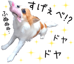 IWAKI CHIHUAHUA sticker #14905555