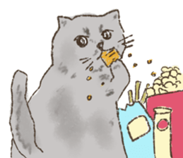 Meow Family Fiawfao & Frungfring sticker #14907945