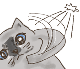 Meow Family Fiawfao & Frungfring sticker #14907956