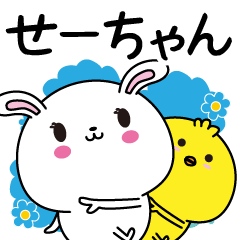 Se-chan name Only sticker