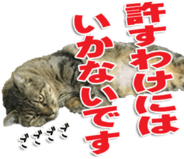 The Toraneko Sticker sticker #14908873