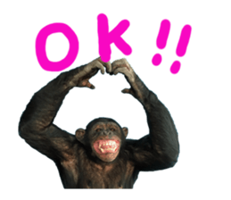 Chimpanzee Sticker5 sticker #14909635