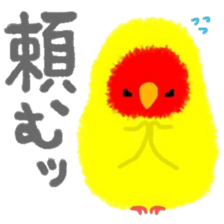 Love-bird PIPI 3 sticker #14911674