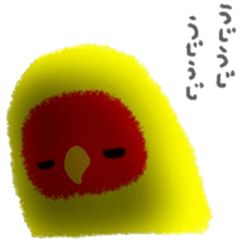 Love-bird PIPI 3 sticker #14911681