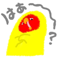 Love-bird PIPI 3 sticker #14911684