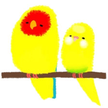 Love-bird PIPI 3 sticker #14911686