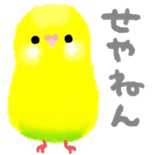 Love-bird PIPI 3 sticker #14911689