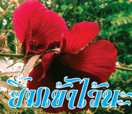 Blessing and Power Up sticker #14911805