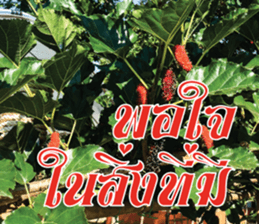 Blessing and Power Up sticker #14911810