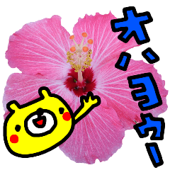 Collaboration of flowers and bears