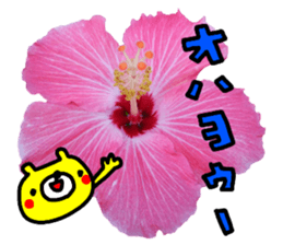 Collaboration of flowers and bears sticker #14914238