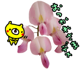 Collaboration of flowers and bears sticker #14914244