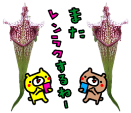 Collaboration of flowers and bears sticker #14914248