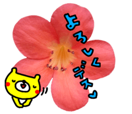 Collaboration of flowers and bears sticker #14914250