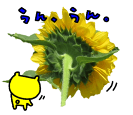 Collaboration of flowers and bears sticker #14914251