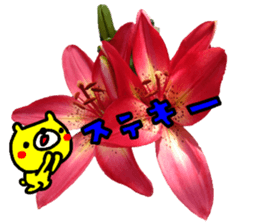 Collaboration of flowers and bears sticker #14914252