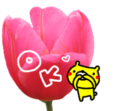 Collaboration of flowers and bears sticker #14914255