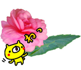 Collaboration of flowers and bears sticker #14914258