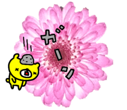 Collaboration of flowers and bears sticker #14914265