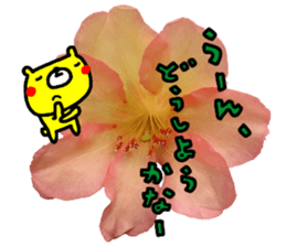 Collaboration of flowers and bears sticker #14914267