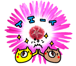Collaboration of flowers and bears sticker #14914270