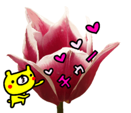 Collaboration of flowers and bears sticker #14914271