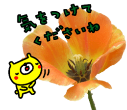 Collaboration of flowers and bears sticker #14914272