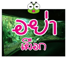 PluakPlease Stop Please sticker #14915918