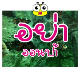 PluakPlease Stop Please sticker #14915919