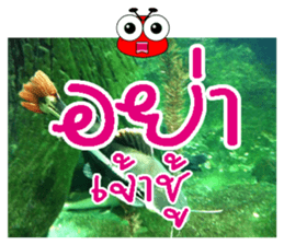 PluakPlease Stop Please sticker #14915920