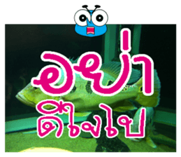 PluakPlease Stop Please sticker #14915922