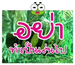 PluakPlease Stop Please sticker #14915923