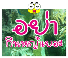 PluakPlease Stop Please sticker #14915924