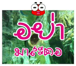 PluakPlease Stop Please sticker #14915925