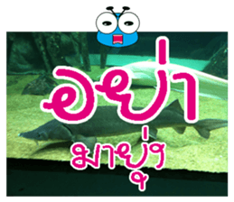 PluakPlease Stop Please sticker #14915927