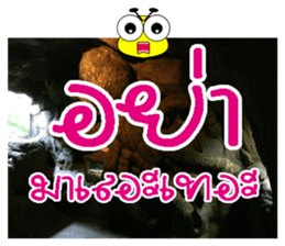 PluakPlease Stop Please sticker #14915929