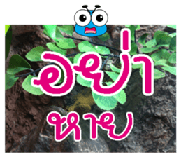 PluakPlease Stop Please sticker #14915932