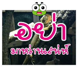 PluakPlease Stop Please sticker #14915933