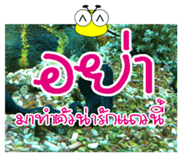 PluakPlease Stop Please sticker #14915934