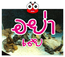 PluakPlease Stop Please sticker #14915935