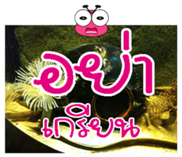 PluakPlease Stop Please sticker #14915936