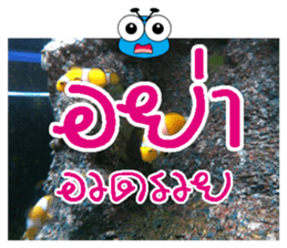 PluakPlease Stop Please sticker #14915937