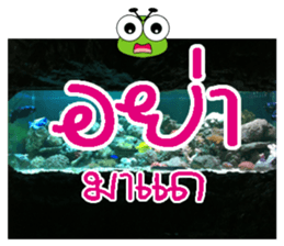 PluakPlease Stop Please sticker #14915938