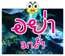 PluakPlease Stop Please sticker #14915939