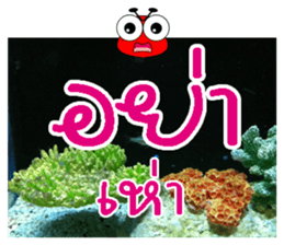 PluakPlease Stop Please sticker #14915940